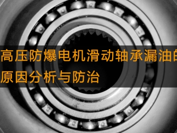 高壓防爆電機滑動軸承漏油的原因分析與防治 