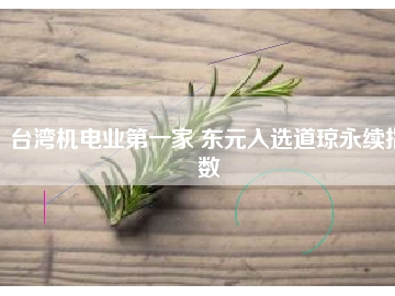 臺(tái)灣機(jī)電業(yè)第一家 東元入選道瓊永續(xù)指數(shù)