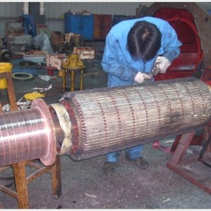 電動(dòng)機(jī)軸承燒毀的原因分析及解決方法