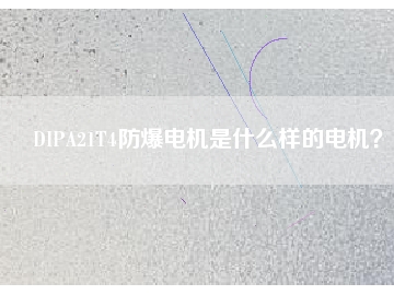 DIPA21T4防爆電機是什么樣的電機？