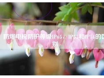 防爆電機(jī)防護(hù)等級(jí)IP65，IP55和IP54的區(qū)別