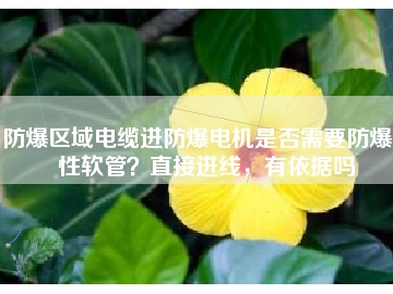 防爆區(qū)域電纜進(jìn)防爆電機(jī)是否需要防爆撓性軟管？直接進(jìn)線，有依據(jù)嗎