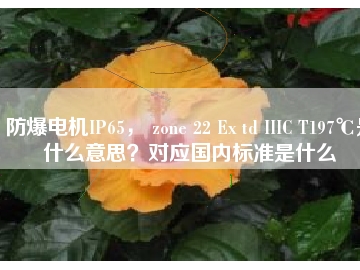 防爆電機IP65， zone 22 Ex td IIIC T197℃是什么意思？對應國內(nèi)標準是什么