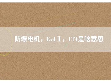 防爆電機(jī)，ExdⅡ，CT4是啥意思