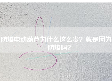 防爆電動葫蘆為什么這么貴？就是因為能防爆嗎？