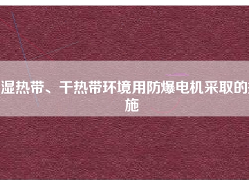 濕熱帶、干熱帶環(huán)境用防爆電機(jī)采取的措施