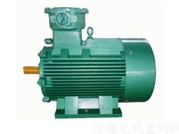 目前變頻低壓電機(jī)在槽絕緣與相間絕緣上還存在哪些問(wèn)題？