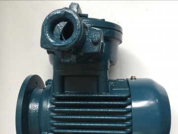 防爆電機(jī)的效率怎么樣？能耗主要在哪里損耗了？