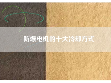 防爆電機(jī)的十大冷卻方式