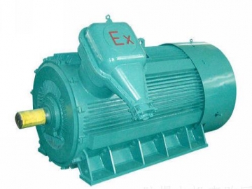 防爆電機(jī)在日常檢修中，一定要知道這五個方面