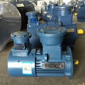 防爆電機(jī)修理時一定要知道這些