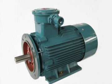 防爆電機(jī)驗(yàn)收時除了銘牌外，還要注意哪些？