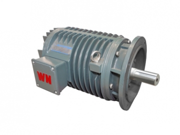 YG系列輥道用調(diào)速三相異步電動機(jī)