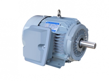 NE系列高效高轉(zhuǎn)矩三相異步電動(dòng)機(jī)