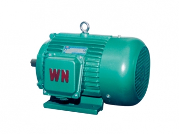 YDT系列變極多速三相異步電動(dòng)機(jī)