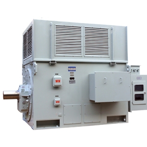 YR系列高壓三相異步電動機(jī)