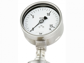 DSS19F符合EN837-1標(biāo)準(zhǔn)的壓力表，帶隔膜密封