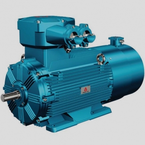 低壓變頻調(diào)速三相異步電動機(jī)