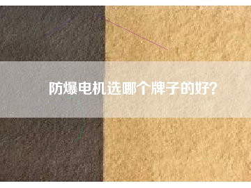 防爆電機選哪個牌子的好？