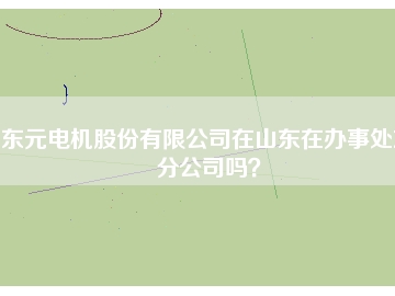 東元電機股份有限公司在山東在辦事處或分公司嗎？