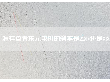 怎樣查看東元電機的剎車是220v還是380v