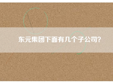 東元集團(tuán)下面有幾個子公司？