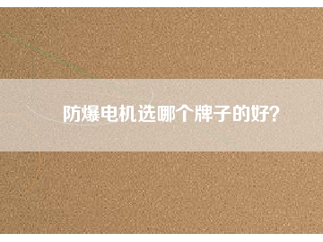 防爆電機(jī)選哪個牌子的好？