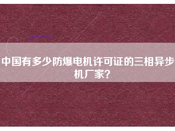 中國有多少防爆電機許可證的三相異步電機廠家？