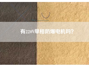有220V單相防爆電機嗎？