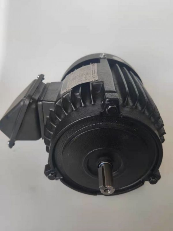 永磁電機 DVEX  75KW  1000RPM  F#250M IE4效率電機