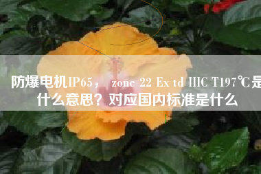 防爆電機(jī)IP65， zone 22 Ex td IIIC T197℃是什么意思？對(duì)應(yīng)國(guó)內(nèi)標(biāo)準(zhǔn)是什么