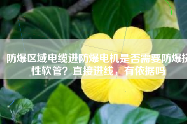 防爆區(qū)域電纜進防爆電機是否需要防爆撓性軟管？直接進線，有依據(jù)嗎