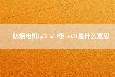 防爆電機(jī)ip55 b3 f級 ic411是什么意思