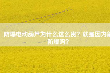 防爆電動(dòng)葫蘆為什么這么貴？就是因?yàn)槟芊辣瑔幔? title=