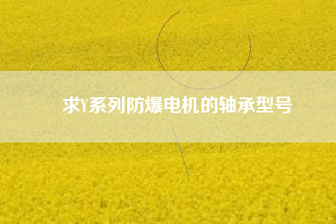 求Y系列防爆電機(jī)的軸承型號(hào)