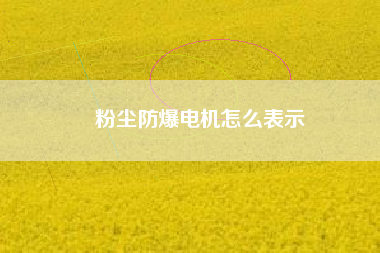 粉塵防爆電機(jī)怎么表示