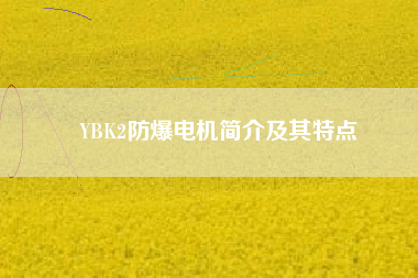 YBK2防爆電機(jī)簡介及其特點