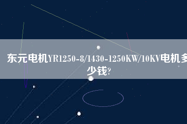 東元電機(jī)YR1250-8/1430-1250KW/10KV電機(jī)多少錢? 東元電機(jī)YR1250-8/1430-1250KW/10KV電機(jī)多少錢?