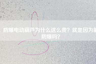防爆電動(dòng)葫蘆為什么這么貴？就是因?yàn)槟芊辣瑔幔? title=