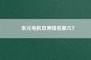 東元電機(jī)世界排名第幾？