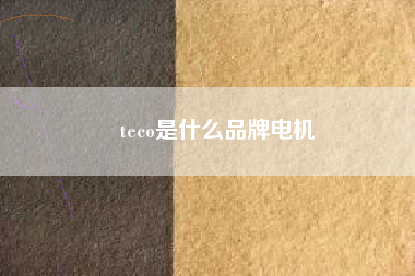 teco是什么品牌電機 teco是什么品牌電機