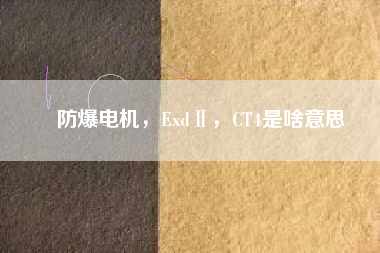 防爆電機(jī)，ExdⅡ，CT4是啥意思