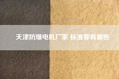 天津防爆電機廠家 標(biāo)準(zhǔn)都有哪些 天津防爆電機廠家 標(biāo)準(zhǔn)都有哪些