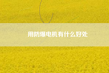 用防爆電機有什么好處 用防爆電機有什么好處