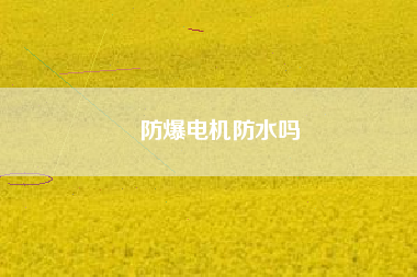 防爆電機(jī)防水嗎 防爆電機(jī)防水嗎