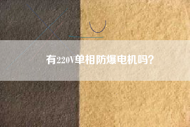 有220V單相防爆電機嗎？