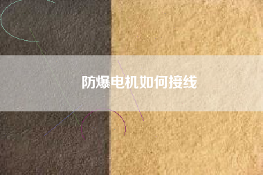 防爆電機(jī)如何接線(xiàn)