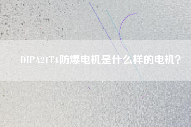 DIPA21T4防爆電機是什么樣的電機?
