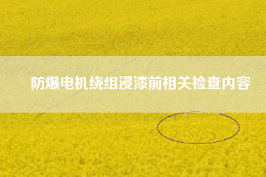 防爆電機繞組浸漆前相關(guān)檢查內(nèi)容